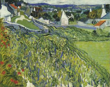 Vincent Van Gogh Vineyards at Auvers china oil painting image